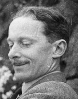 Bob Dippy